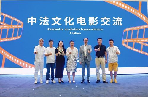 西千佛洞 影片帶著敦煌元素亮相中法文化電影交流活動