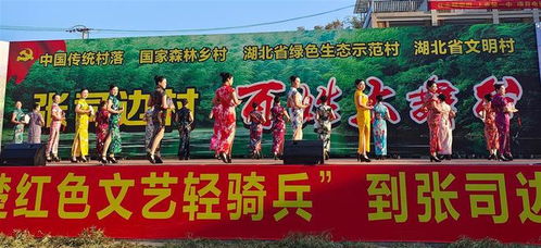 全國典型公布,湖北 南湖模式 派出制 兩案例入選