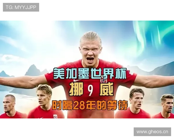 挪威世界杯I组成绩：前两轮抢分奠定出线基础